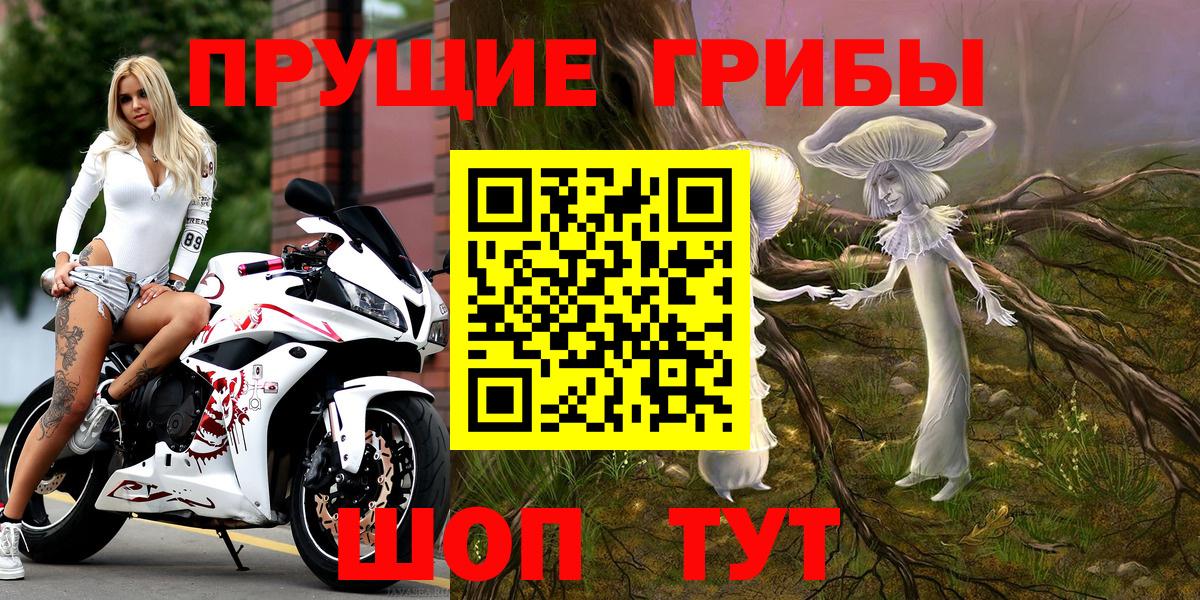 Псилоцибиновые грибы Psilocybe  Вход с VPN  Мыски  цены   Галлюциногенные грибы MAGIC MUSHROOMS 